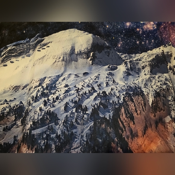 Tapestry - Picture 2 of 5